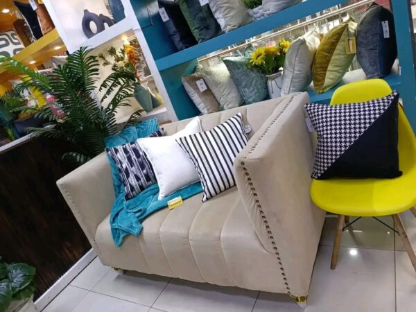 Decorative throw Pillow
