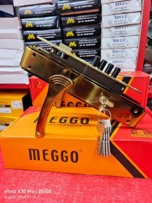 Steel door locks
