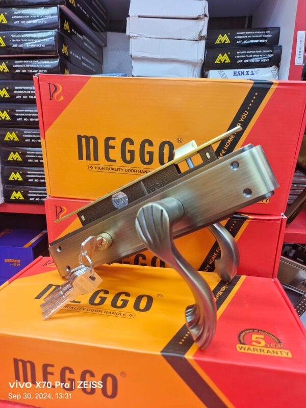 Steel door locks