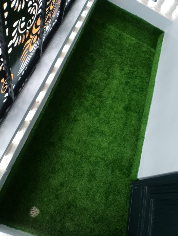 Turf grass carpet