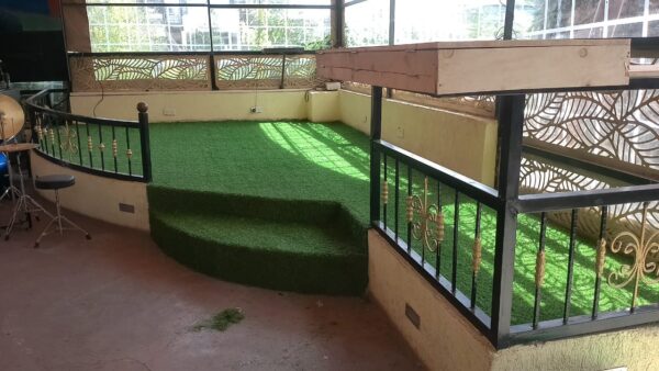 Turf grass carpet