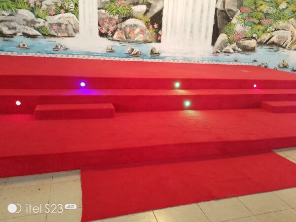 Wall to wall carpet
