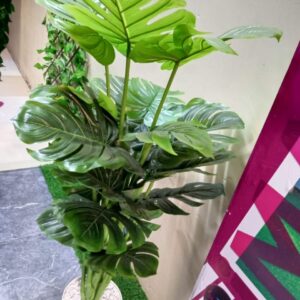 Artificial Plant
