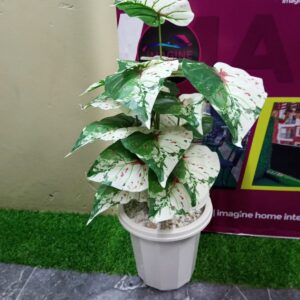 Artificial Home Decor Plants