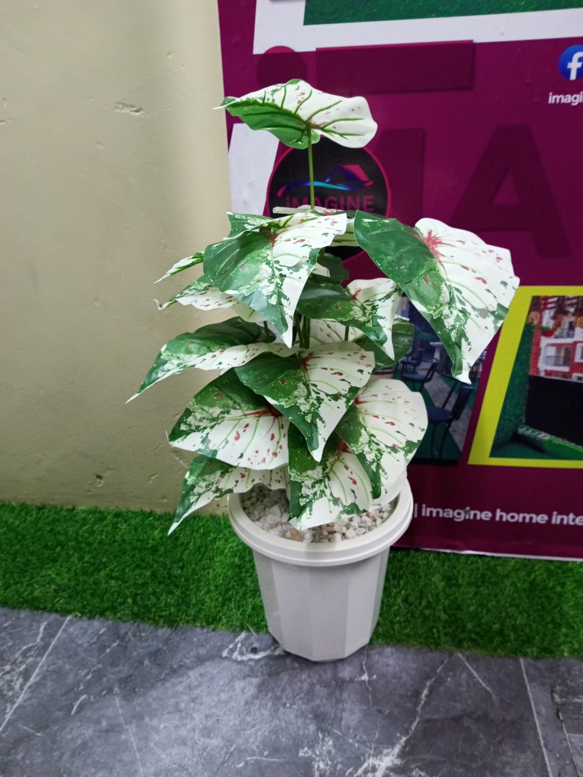 Cosmic-Choices-479410.jpeg Artificial Home Decor Plants