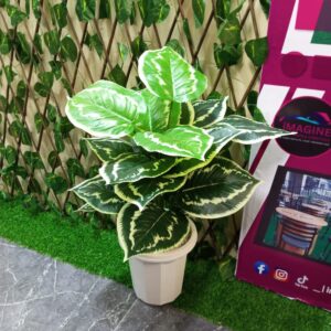 Artificial Home Decor Plants