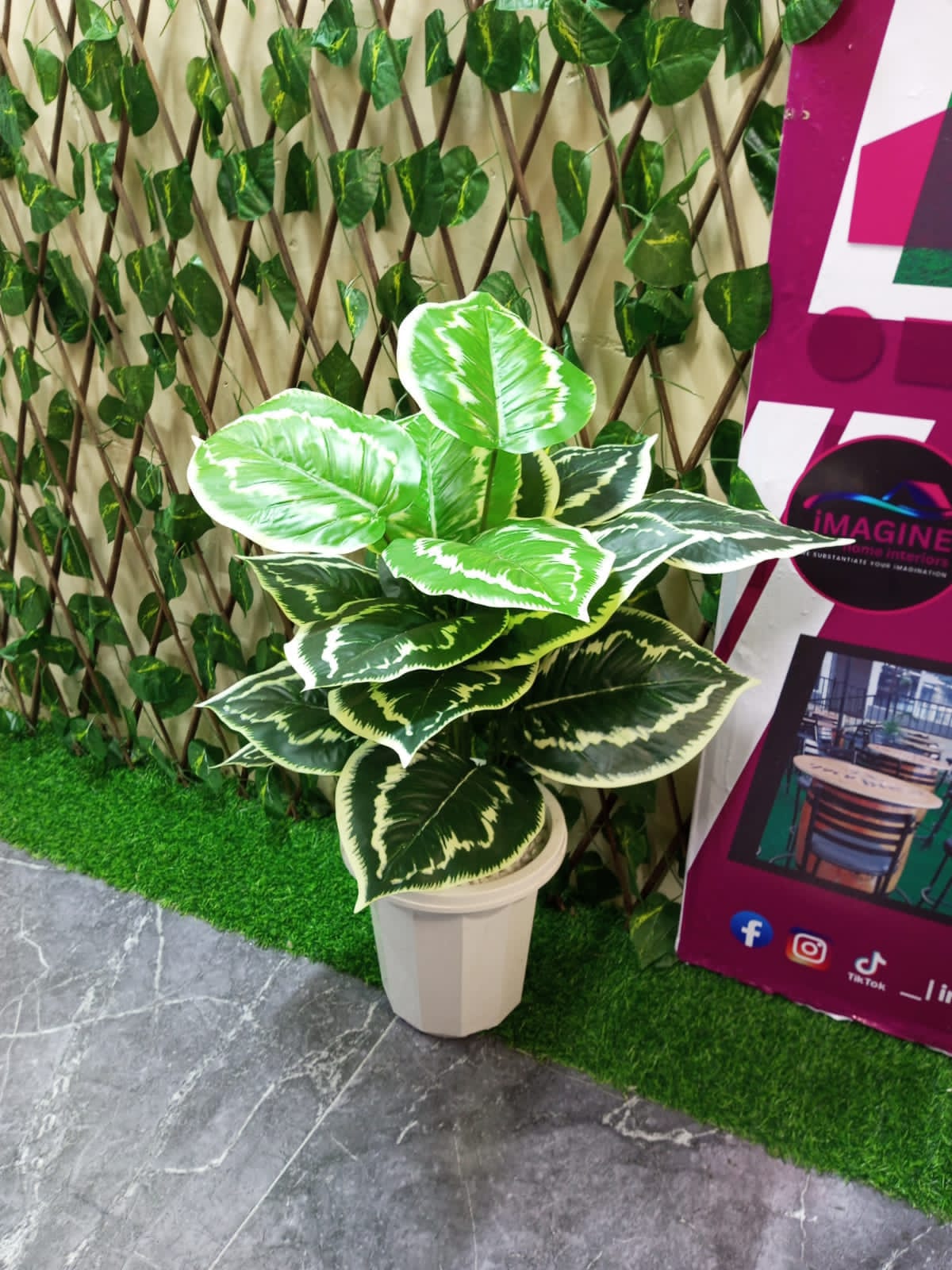 Cosmic-Choices-942864.jpeg Artificial Home Decor Plants