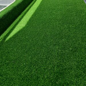 20mm Grass Carpet