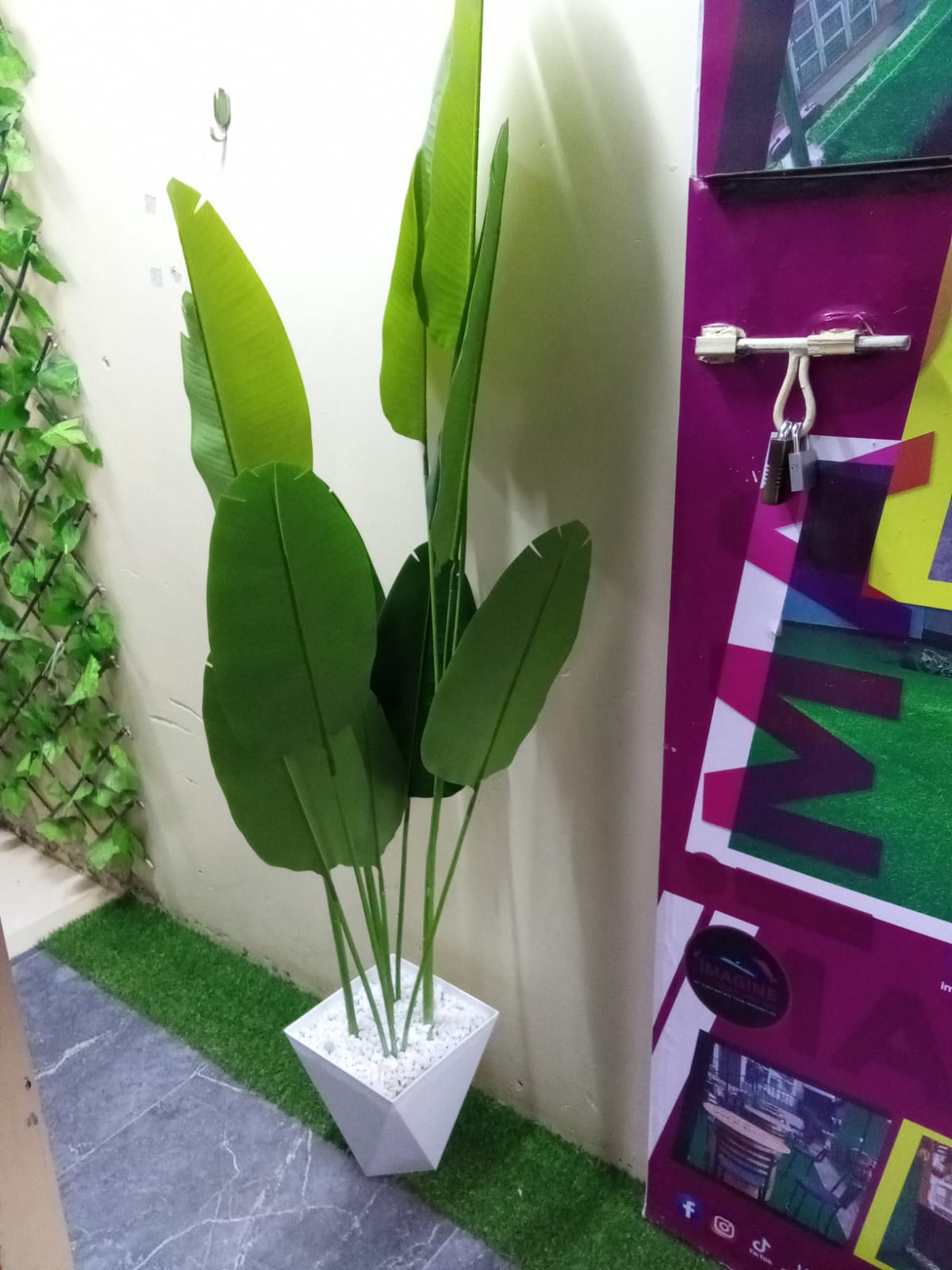 Cosmic-Choices-022938.jpeg Artificial Banana Plant