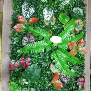 Boxwood wall hedges 40CM*60CM