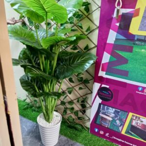Artificial Plant