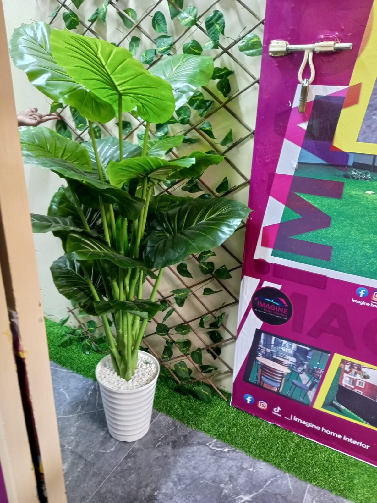 Cosmic-Choices-116688.jpeg Artificial Plant