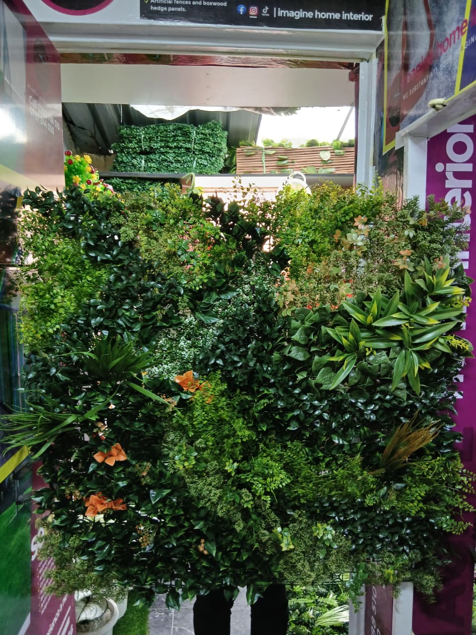 Cosmic-Choices-424117.jpeg Artificial Boxwood Hedges 1M