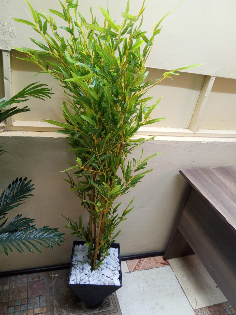 Cosmic-Choices-429950.jpeg Artificial Bamboo tree