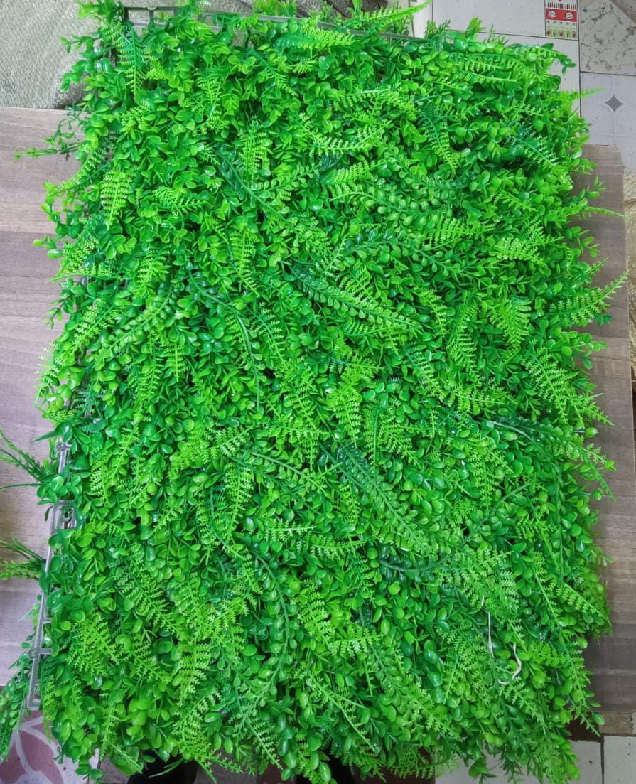 Cosmic-Choices-465384.jpeg High density wall Hedge 40CM*60CM